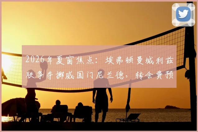 2026年夏窗焦点:埃弗顿曼城利兹联争夺挪威国门尼兰德,转会费预估、实力对比及谁最适合他深度分析